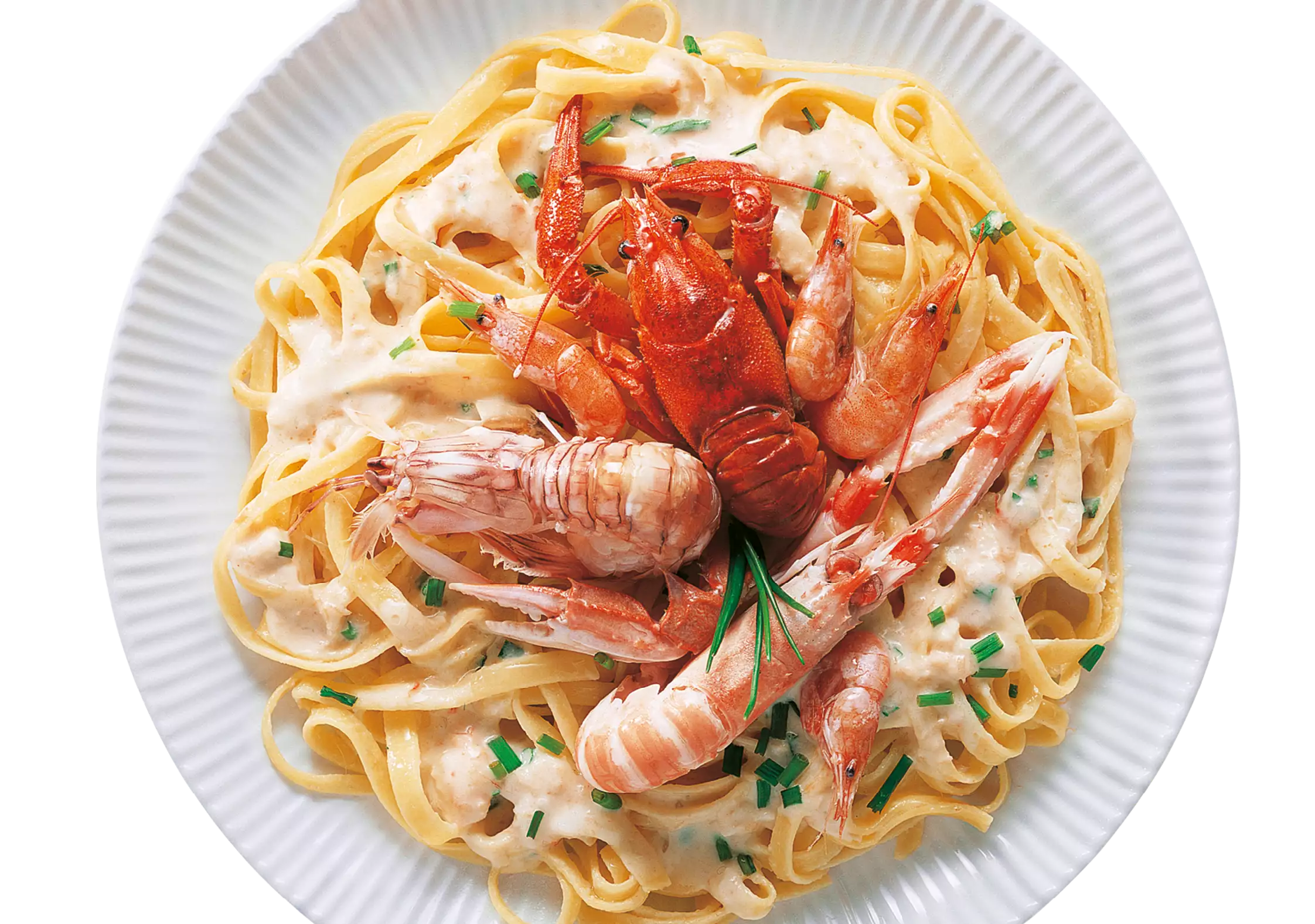 SHELLFISH cream