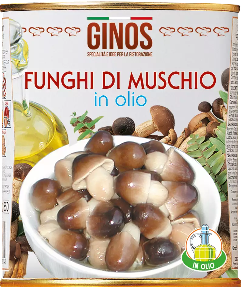 FUNGHI DI MUSCHIO in olio