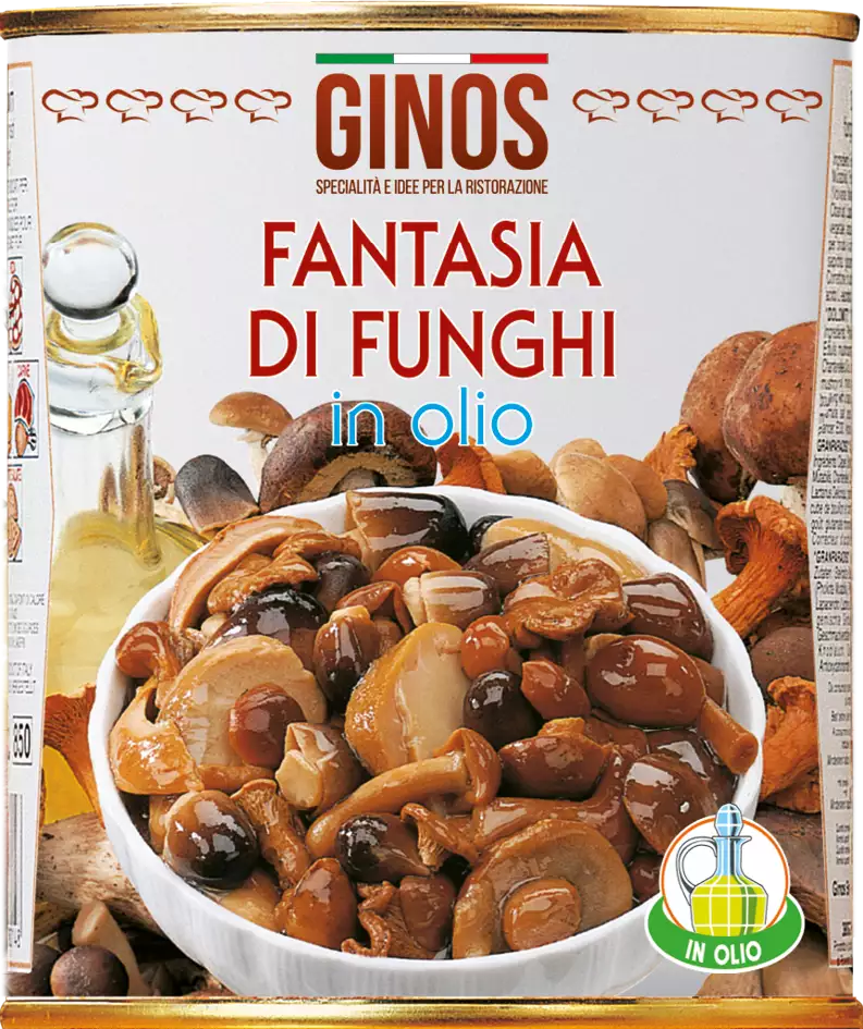 FANTASIA DI FUNGHI in olio