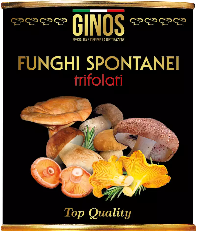 FUNGHI SPONTANEI