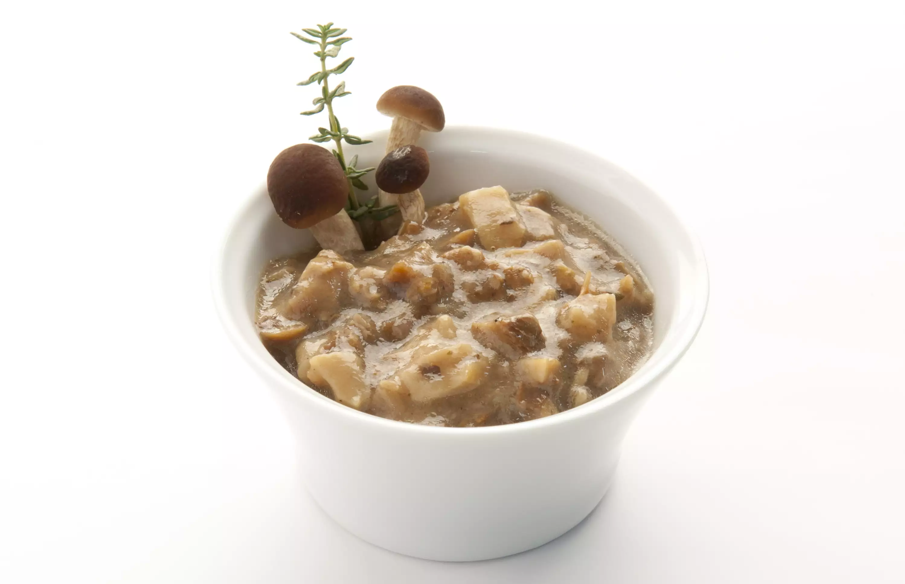 "MILLEFUNGHI" - Mushrooms cream